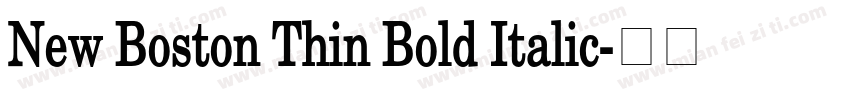 New Boston Thin Bold Italic字体转换